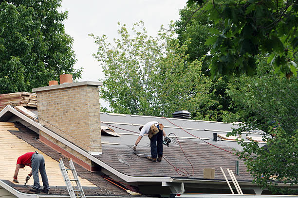 Best Roof Waterproofing Services  in Lovington, IL