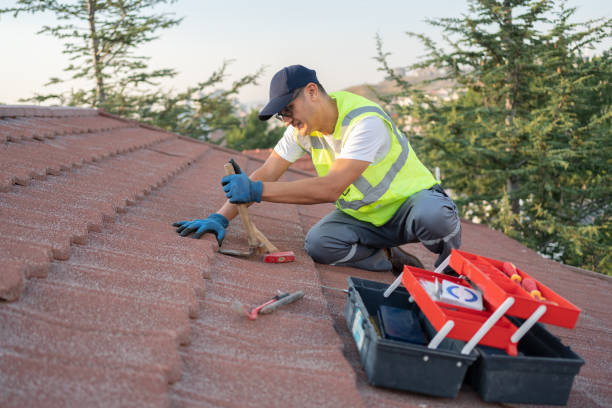 Best Gutter Installation and Roofing  in Lovington, IL