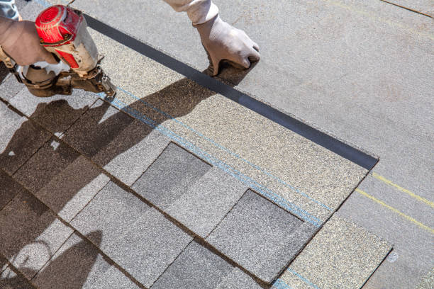 Best Roof Gutter Cleaning  in Lovington, IL